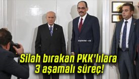 Silah bırakan PKK’lılara 3 aşamalı süreç!
