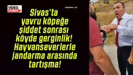 Sivas’ta yavru köpeğe şiddet sonrası köyde gerginlik! Hayvanseverlerle jandarma arasında tartışma!