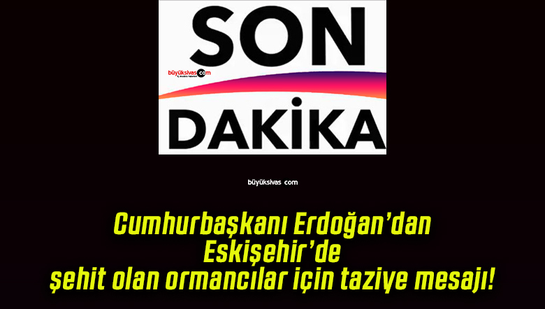 Cumhurbaşkanı Erdoğan’dan Eskişehir’de şehit olan ormancılar için taziye mesajı!