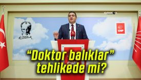 “Doktor balıklar” tehlikede mi?
