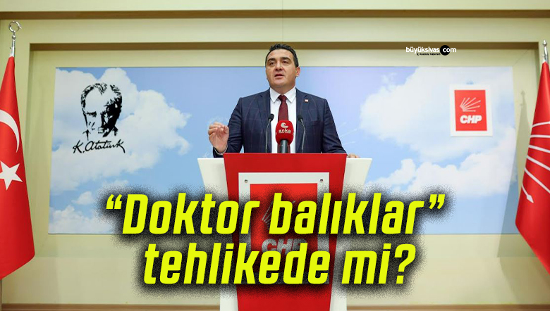 “Doktor balıklar” tehlikede mi?
