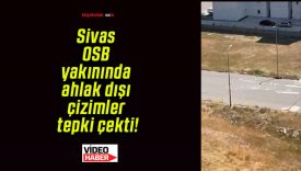 Sivas OSB yakınında ahlak dışı çizimler tepki çekti!