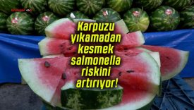 Karpuzu yıkamadan kesmek salmonella riskini artırıyor!