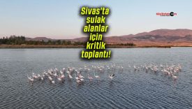 Sivas’ta sulak alanlar için kritik toplantı!