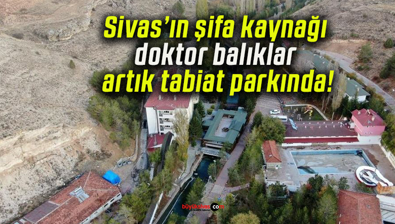 Sivas’ın şifa kaynağı doktor balıklar artık tabiat parkında!