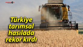 Türkiye, tarımsal hasılada rekor kırdı