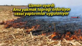 Uzman uyardı: Anız yakmak toprağı öldürüyor, cezai yaptırımlar uygulanıyor