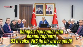 Sahipsiz hayvanlar için önemli toplantı! 51 il valisi VKS ile bir araya geldi!