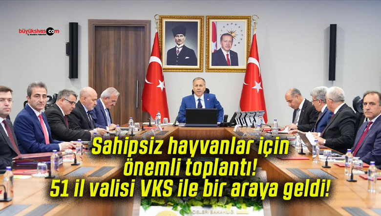 Sahipsiz hayvanlar için önemli toplantı! 51 il valisi VKS ile bir araya geldi!