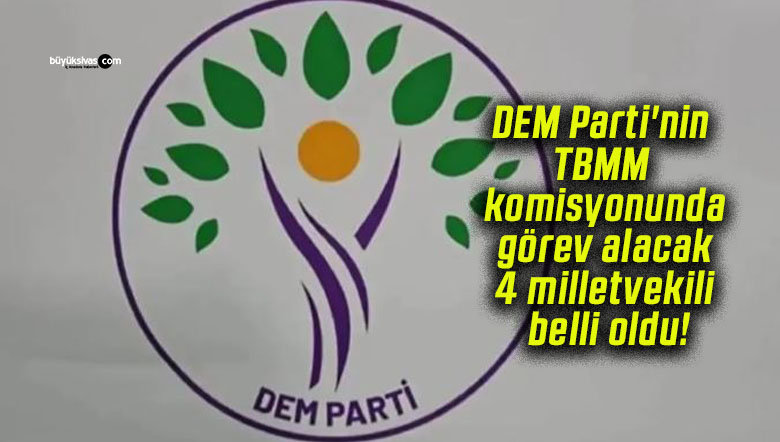 DEM Parti’nin TBMM komisyonunda görev alacak 4 milletvekili belli oldu!
