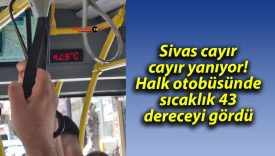 Sivas cayır cayır yanıyor! Halk otobüsünde sıcaklık 43 dereceyi gördü