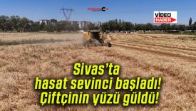 Sivas’ta hasat sevinci başladı! Çiftçinin yüzü güldü!