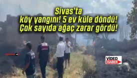 Sivas’ta köy yangını! 5 ev küle döndü! Çok sayıda ağaç zarar gördü!