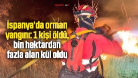 İspanya’da orman yangını: 1 kişi öldü, bin hektardan fazla alan kül oldu
