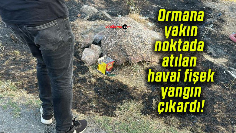 Ormana yakın noktada atılan havai fişek yangın çıkardı!