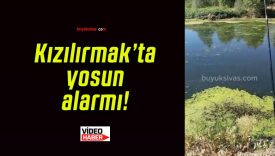 Kızılırmak’ta yosun alarmı!