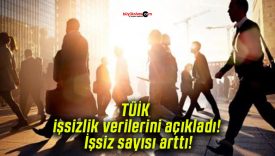 TÜİK işsizlik verilerini açıkladı! İşsiz sayısı arttı!
