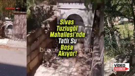 Sivas Tuzlugöl Mahallesi’nde Tatlı Su Boşa Akıyor!