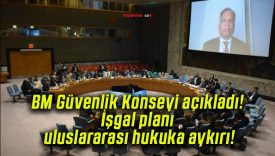 BM Güvenlik Konseyi açıkladı! İşgal planı uluslararası hukuka aykırı!
