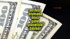 Serbest piyasada döviz güne yükselişle başladı!