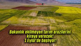 Bakanlık ekilmeyen tarım arazilerini kiraya verecek! 1 Eylül’de başlıyor!