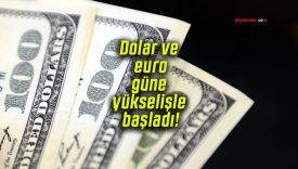 Dolar ve euro güne yükselişle başladı!
