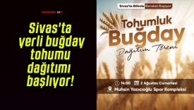Sivas’ta yerli buğday tohumu dağıtımı başlıyor!