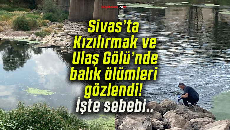 Sivas’ta Kızılırmak ve Ulaş Gölü’nde balık ölümleri gözlendi! İşte sebebi..