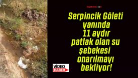 Serpincik Göleti yanında 11 aydır patlak olan su şebekesi onarılmayı bekliyor!