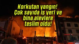 Korkutan yangın! Çok sayıda iş yeri ve bina alevlere teslim oldu!