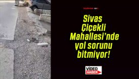 Sivas Çiçekli Mahallesi’nde yol sorunu bitmiyor!