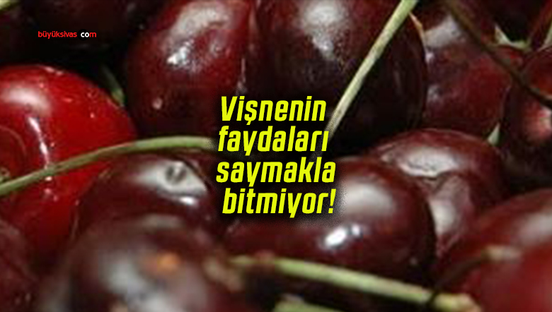 Vişnenin faydaları saymakla bitmiyor!