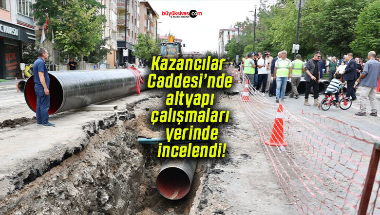 çalışmas