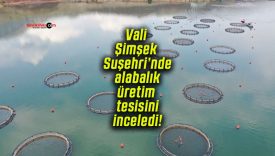 Vali Şimşek Suşehri’nde alabalık üretim tesisini inceledi!
