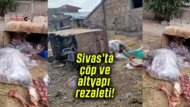 Sivas’ta çöp ve altyapı rezaleti!