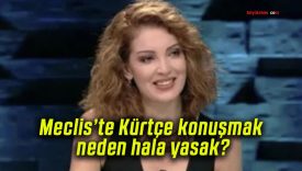 Meclis’te Kürtçe konuşmak neden hala yasak?