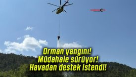 Orman yangını! Müdahale sürüyor! Havadan destek istendi!