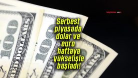 Serbest piyasada dolar ve euro haftaya yükselişle başladı!