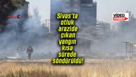 Sivas’ta otluk arazide çıkan yangın kısa sürede söndürüldü!