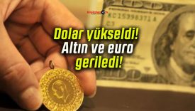 Dolar yükseldi! Altın ve euro geriledi!