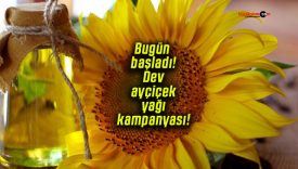 Bugün başladı! Dev ayçiçek yağı kampanyası!