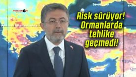 Risk sürüyor! Ormanlarda tehlike geçmedi!