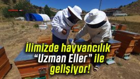 İlimizde hayvancılık “Uzman Eller” ile gelişiyor!
