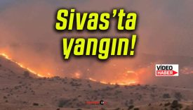 Sivas’ta yangın!