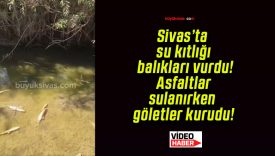 Sivas’ta su kıtlığı balıkları vurdu! Asfaltlar sulanırken göletler kurudu!
