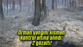Orman yangını kısmen kontrol altına alındı: 2 gözaltı!