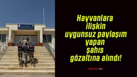 Hayvanlara ilişkin uygunsuz paylaşım yapan şahıs gözaltına alındı!