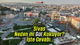 Sivas Neden mi Gül Kokuyor? İşte Cevabı..