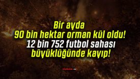 Bir ayda 90 bin hektar orman kül oldu! 12 bin 752 futbol sahası büyüklüğünde kayıp!