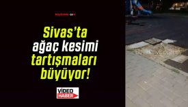Sivas’ta ağaç kesimi tartışmaları büyüyor!
